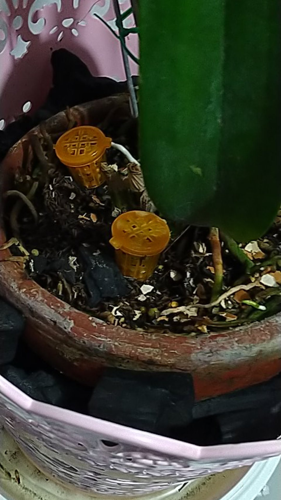 Pot Keranjang Pupuk Slow Release