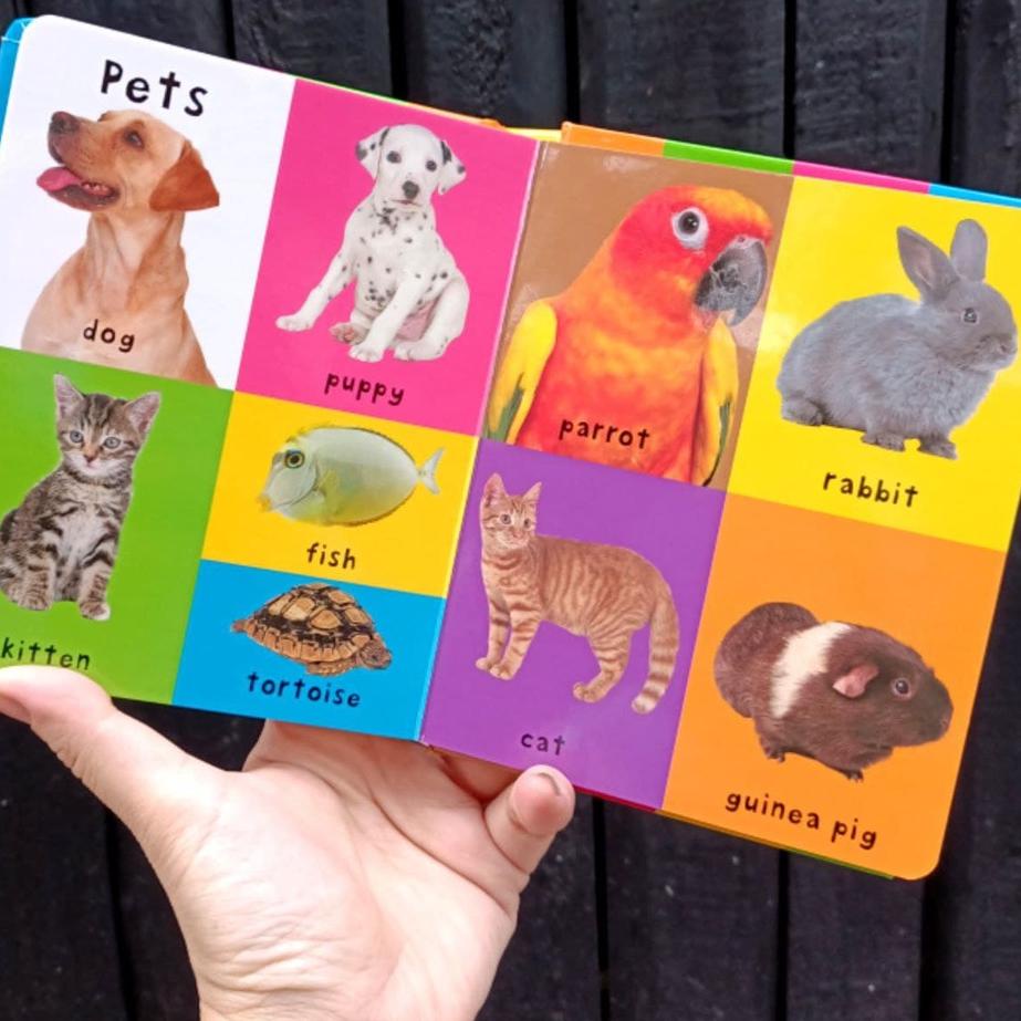 팝 Priddy Books First 100 Words & Early Learning Board Books - First 100 Words /  First 100 Animals /
