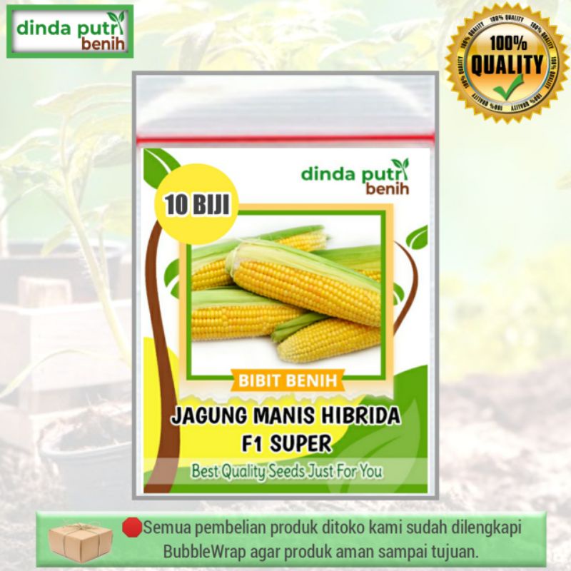 Benih Jagung Manis Hibrida 10biji/ benih sayuran murah super