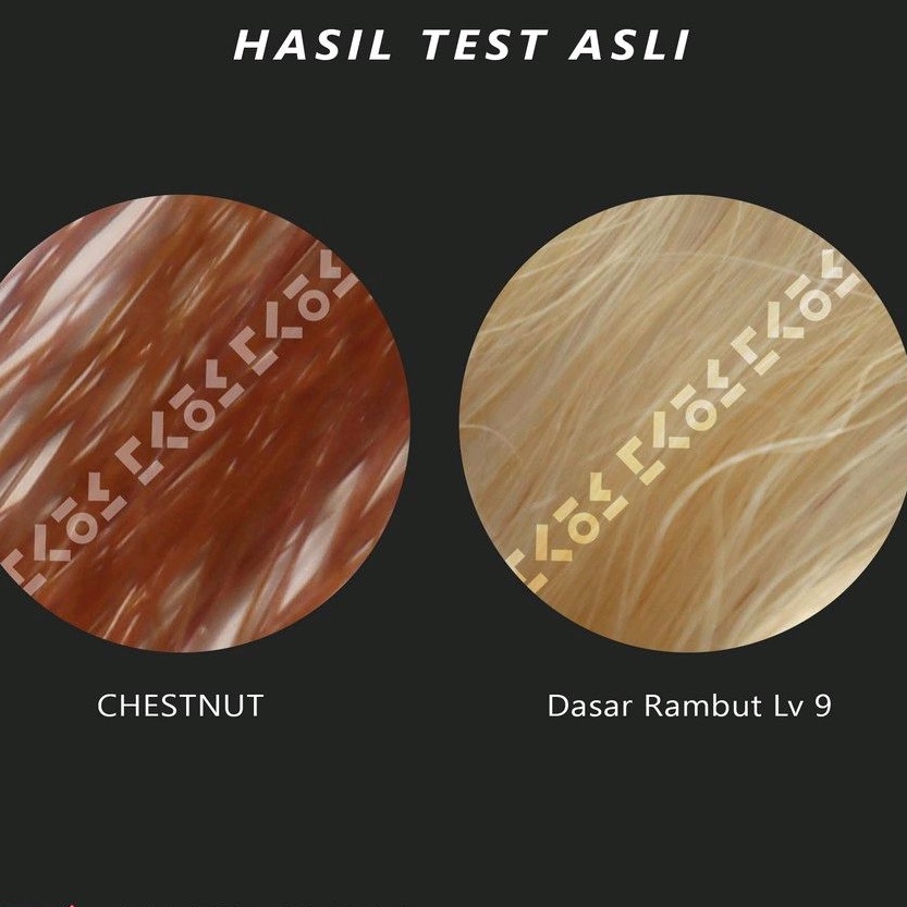 COLORE FRESCO CHESTNUT color cream cat rambut brown cokelat