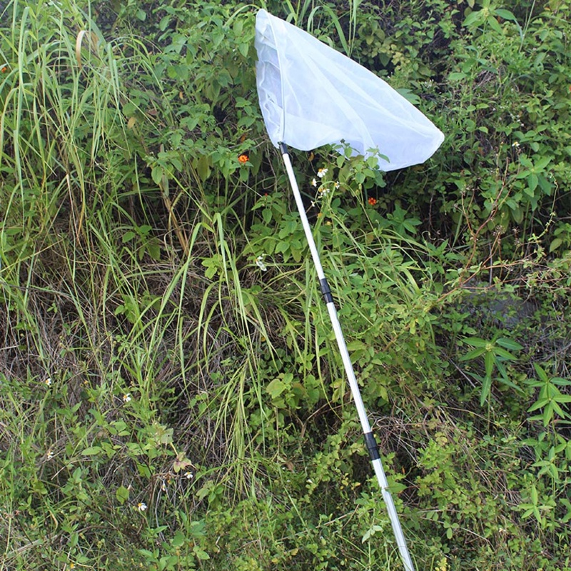 Mary Telescopic Handle Insect Net Untuk Butterfly Dragonfly Net Outdoor Adventure 23 ''Kedalaman Jaring15''Diameter Ring Anak F