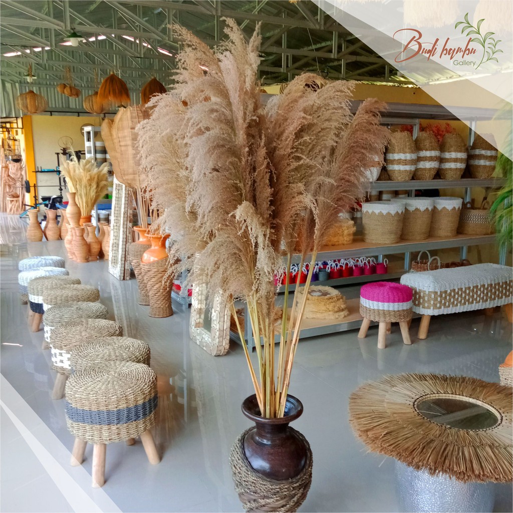 PAMPAS NATURAL / RAYUNG / DRIED PAMPAS GRASS/ BUNGA KERING RUSTIK MURAH