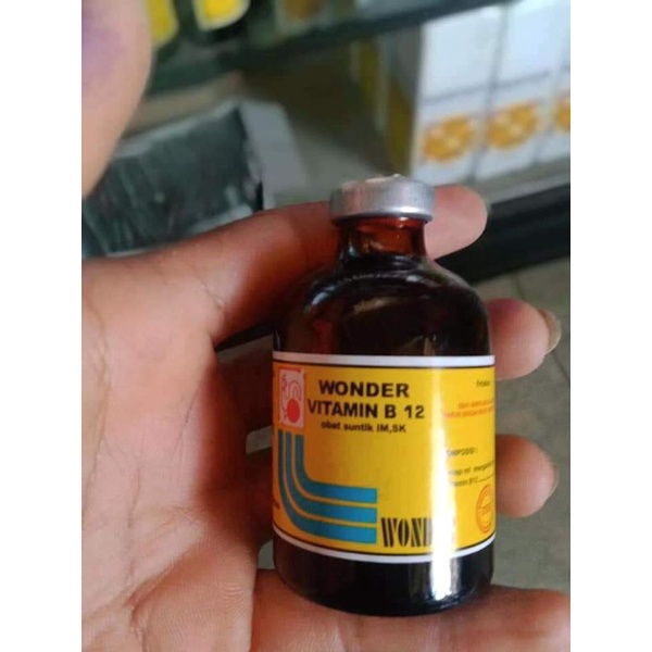 B12 wonder 100ml vitamin hewan