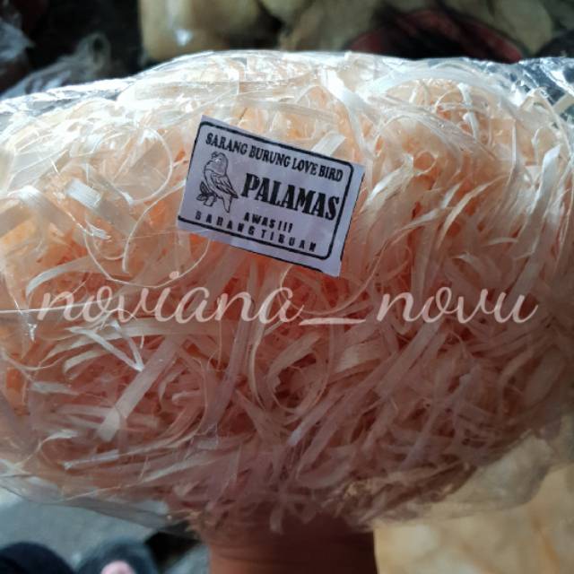 TATAL LOVEBIRD SARANG BERTELUR DI DALAM GLODOK SEKAM SERAT KAYU SEKAM UNTUK BETERNAK LOVE BIRD HAMST