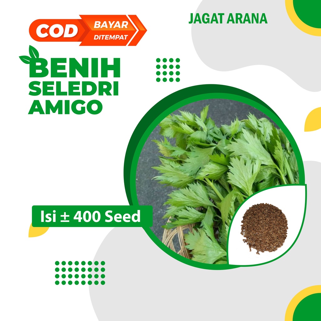 Benih Seledri Amigo Cap Panah Merah Sayuran Hidroponik - Bibit Tanaman Sayur Unggul