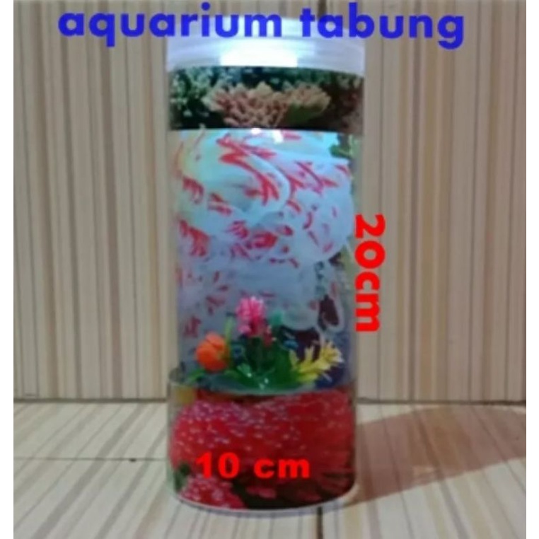 Aquarium Cupang Tabung Besar