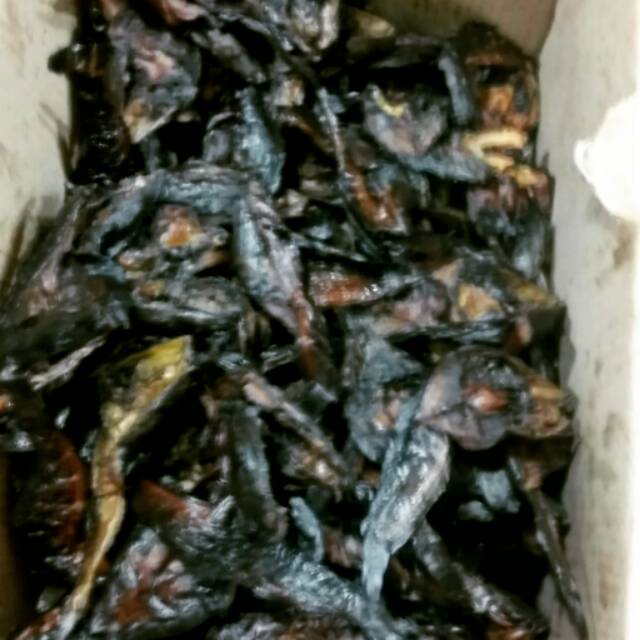 

Ikan Sale Asap