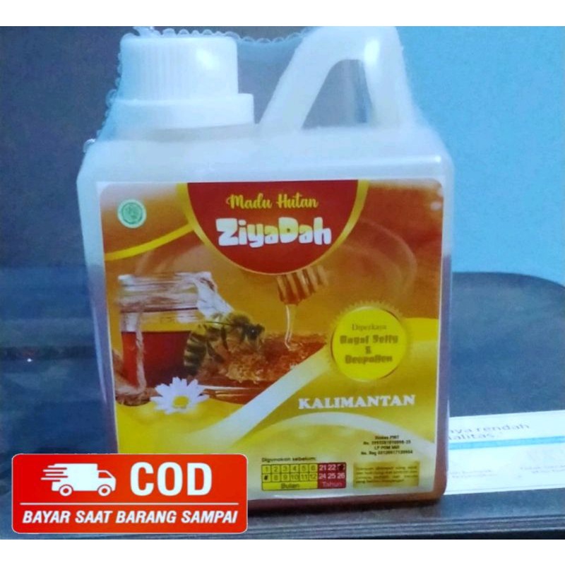 

MADU HUTAN KALIMANTAN ZIYADAH 500gr ASLI TERMURAH