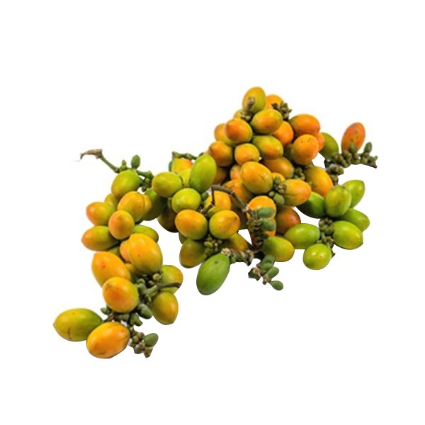 

Buah Melinjo - Niawan Mart