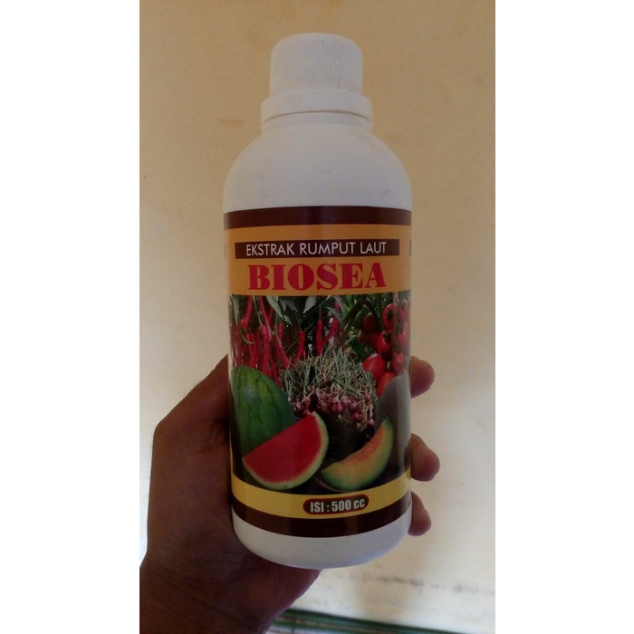 

NEW Biosea ekstrak rumput laut kemasan 500 ml