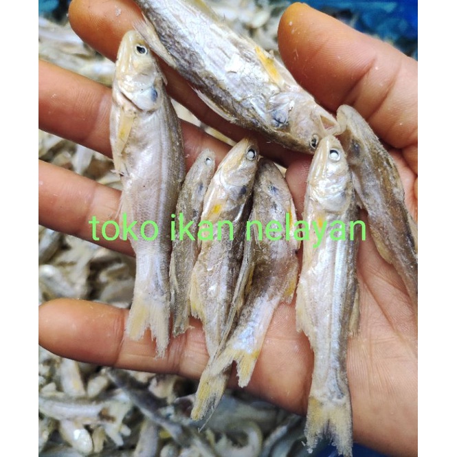 

ikan senagin rebus tanjung leidong 1/4kg