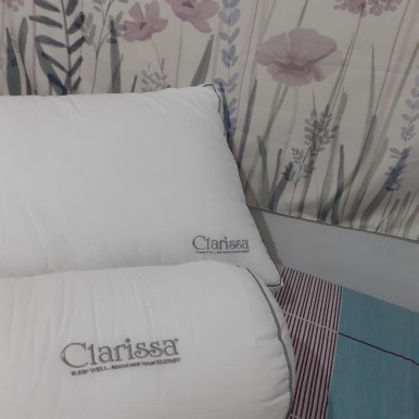 Clarissa Guling Nano Microfibre (synthetic Goose Down)