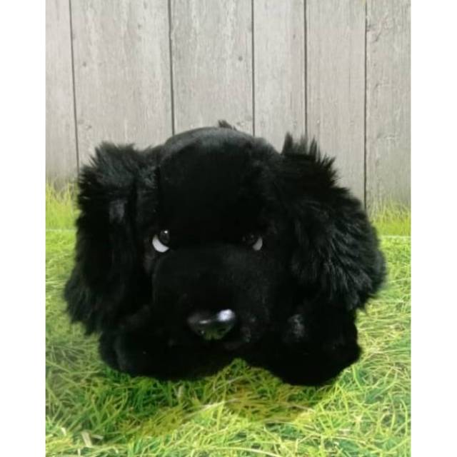 Boneka Anjing English Cocker Spaniel Black