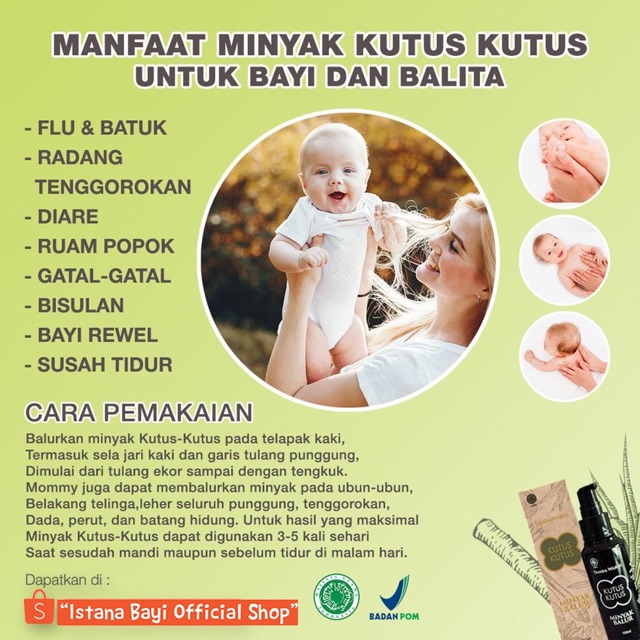 Kutus Minyak Balur 100 ml/minyak Kutus kutus ORIGINAL