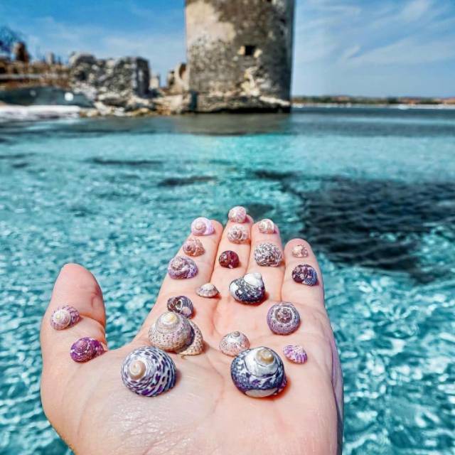 suryadianastridwitasari