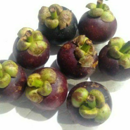 

Manggis size 9 sd 10 pcs dalam 1 kg
