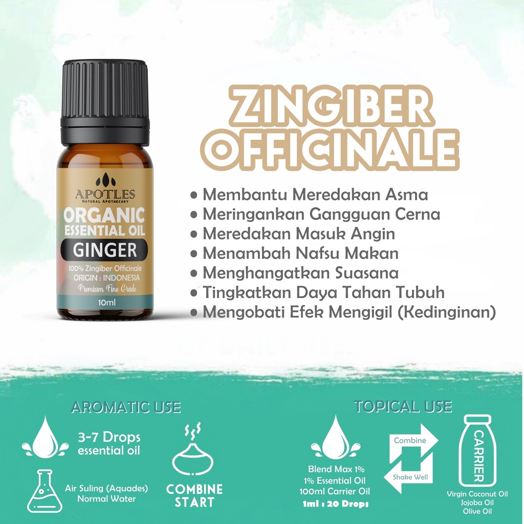 Ginger Essential Oil - Minyak Aromaterapi Jahe Murni Ginger Pure Essential Oil 10ml