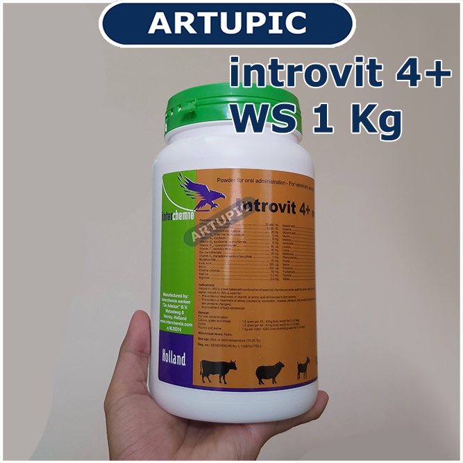 introvit 4+ WS 1 kg mempercepat pertumbuhan penambah berat badan meningkatkan produksi telur daya tahan tubuh mengatasi stres stamina kualitas daging telur susu pindah kandang stres cuaca Sapi Kambing Babi Ayam Domba