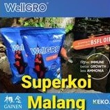 Wellgro Koi Gainen 2KG 2 KG Paket 1 dos 6 Pack Pakan Ikan Koi Well Gro