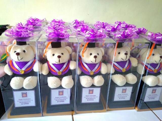 PIALA BONEKA WISUDA TEDDY BEAR 25CM PACKING KOTAK MIKA