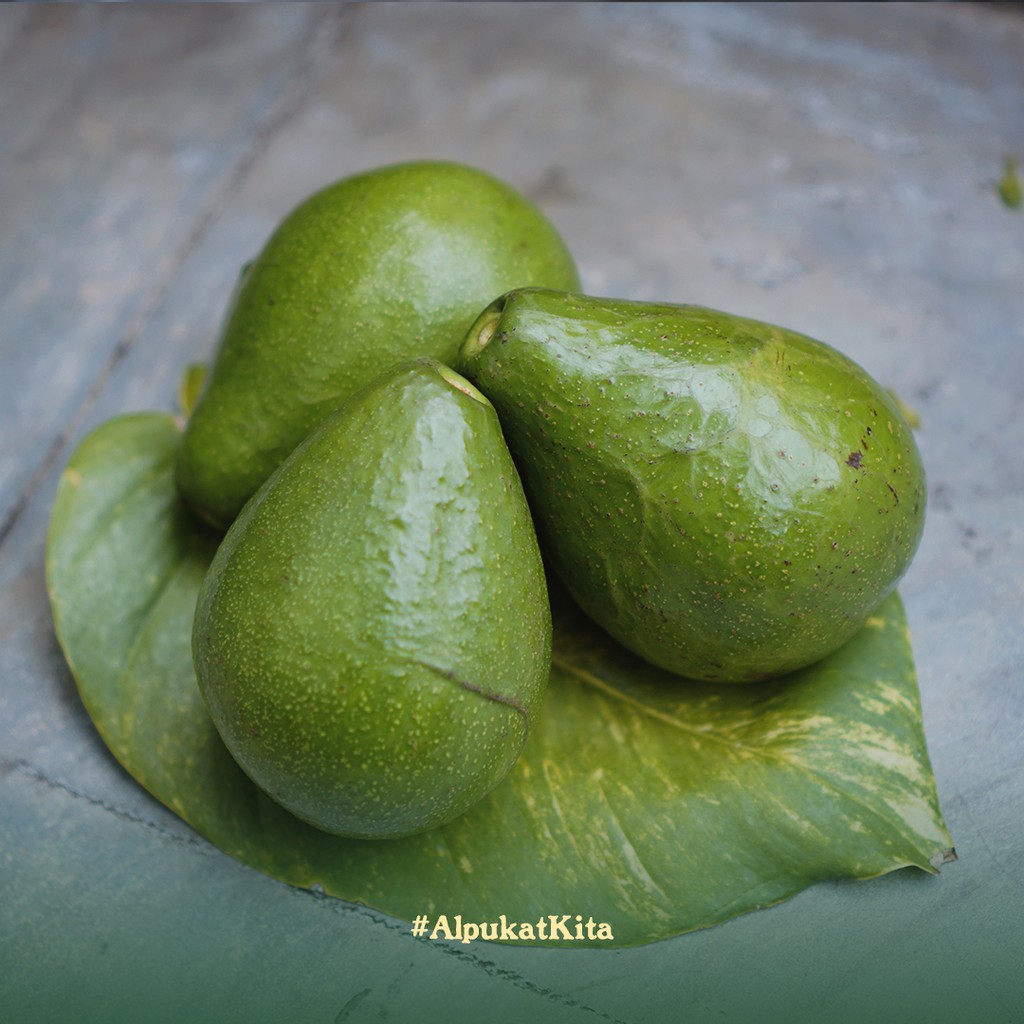

Alpukat Mentega Medium (2kg isi 6 biji)