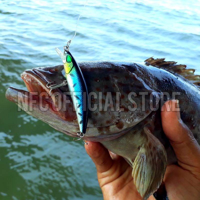 Minnow sinking 4,5gr / 6cm, Umpan casting dengan action KILLER