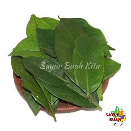 

Daun Salam Per pack