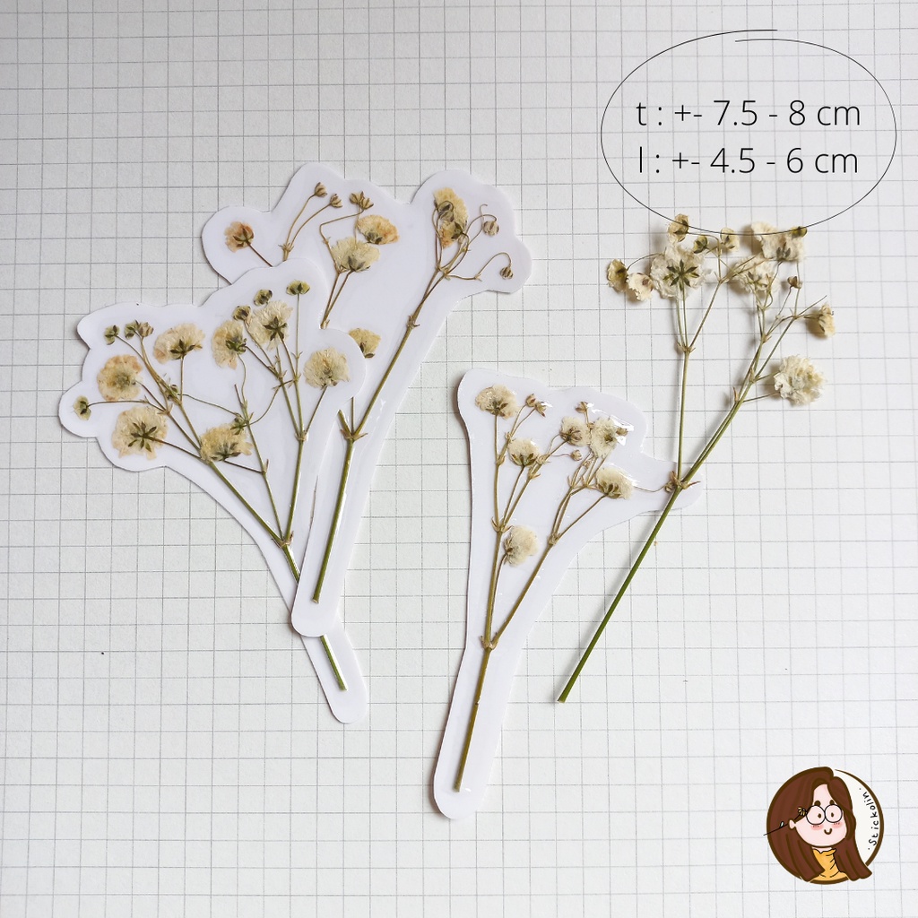 

Baby's Breath Dried & Pressed Flower Sticker/ Stiker Bunga Tekan (u/ kerajinan tangan, hiasan, journal)
