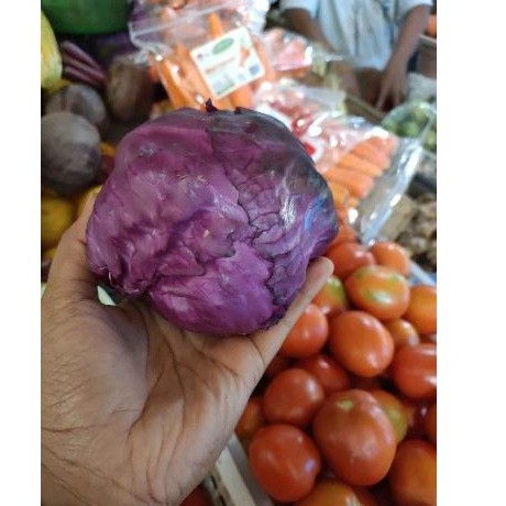 

kol merah/kol ungu 400 gr