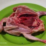 

Daging Burung Dara Konsumsi 1 ekor