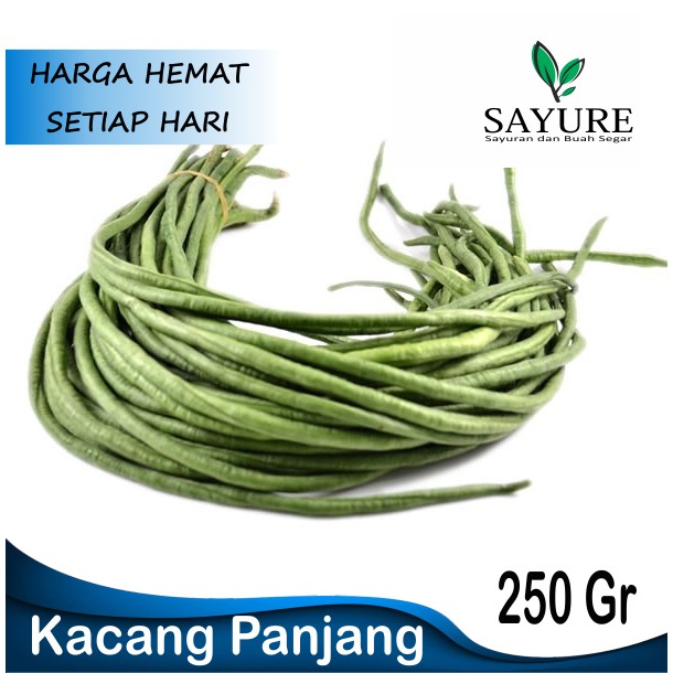 

KACANG PANJANG SAYUR SEGAR MURAH 250 GR