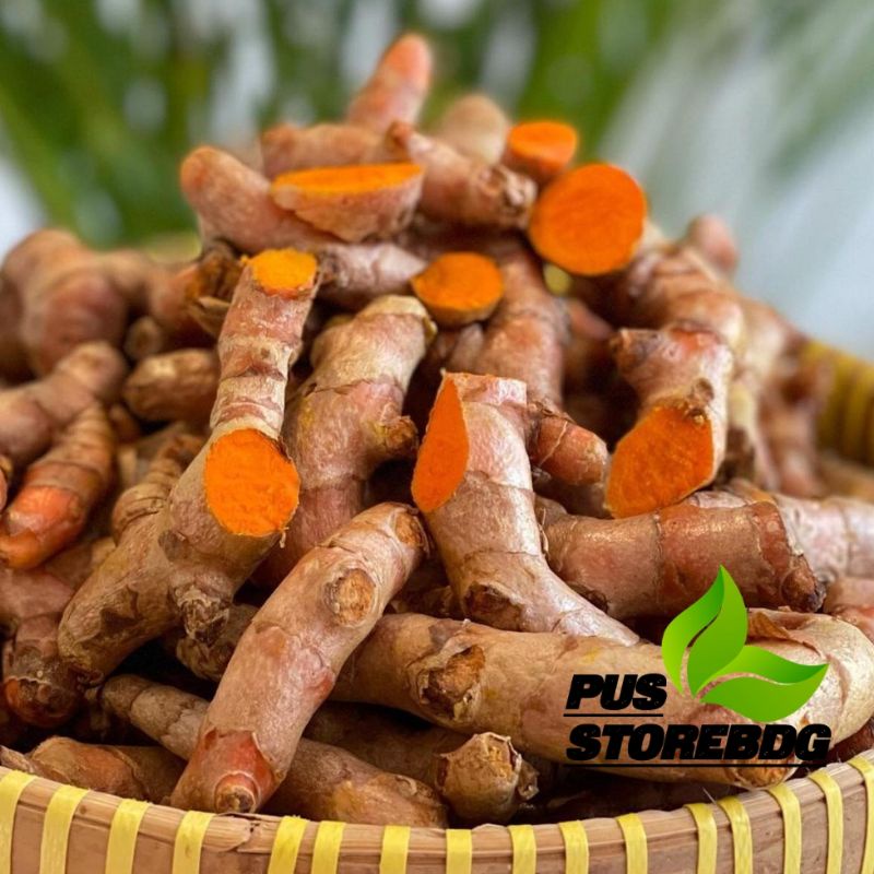 

Jual kunyit segar 1 kg