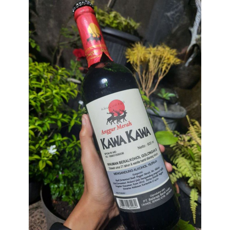 Kawa kawa harga