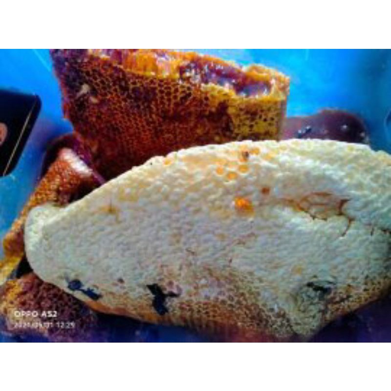 

madu asli