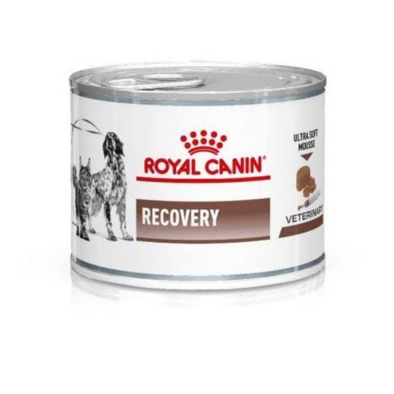 ROYAL CANIN RECOVERY Kaleng 195 gr