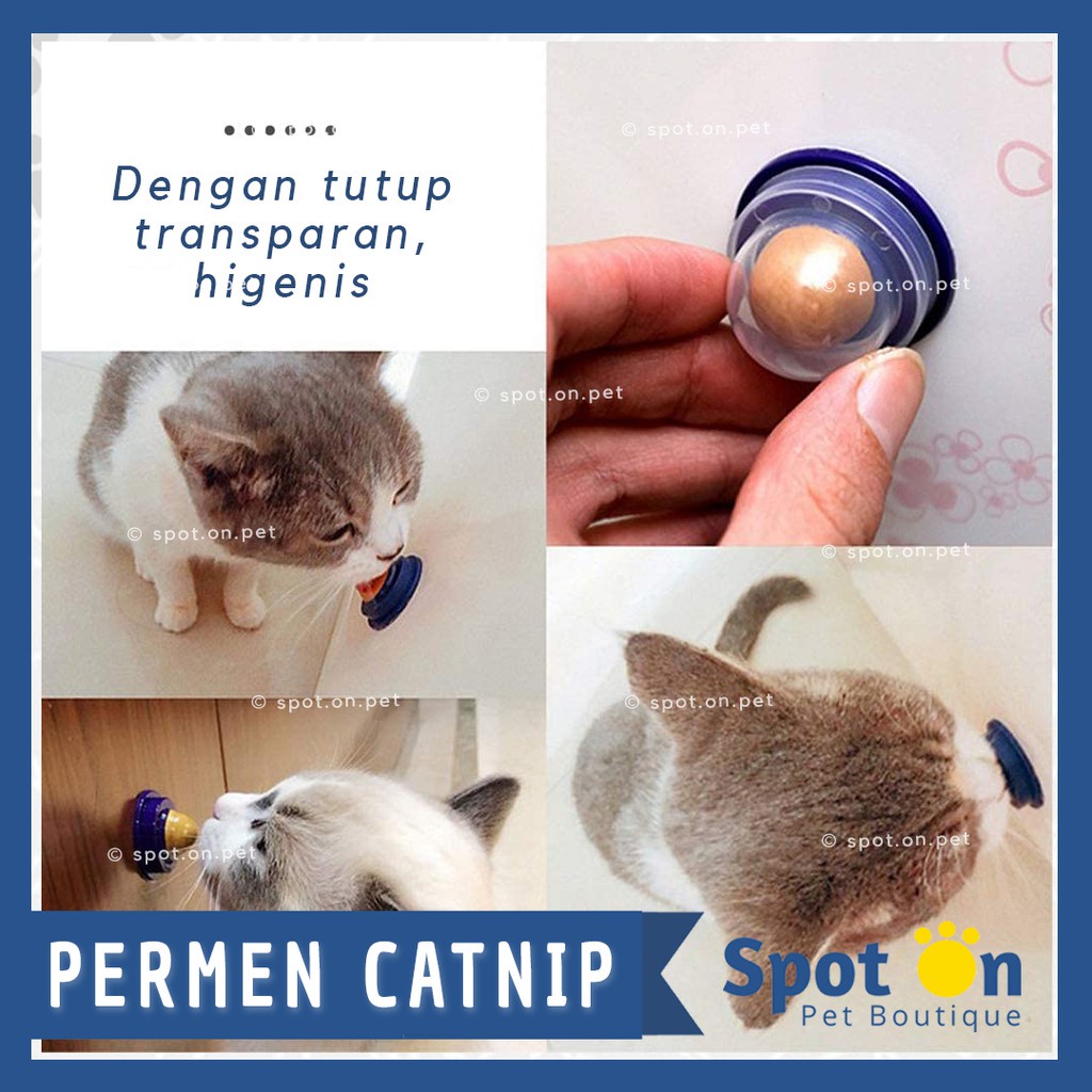 (Premium) Bola Catnip Vitamin Tempel | Permen Energi Vitamin Kucing | Snack Catnip Candy