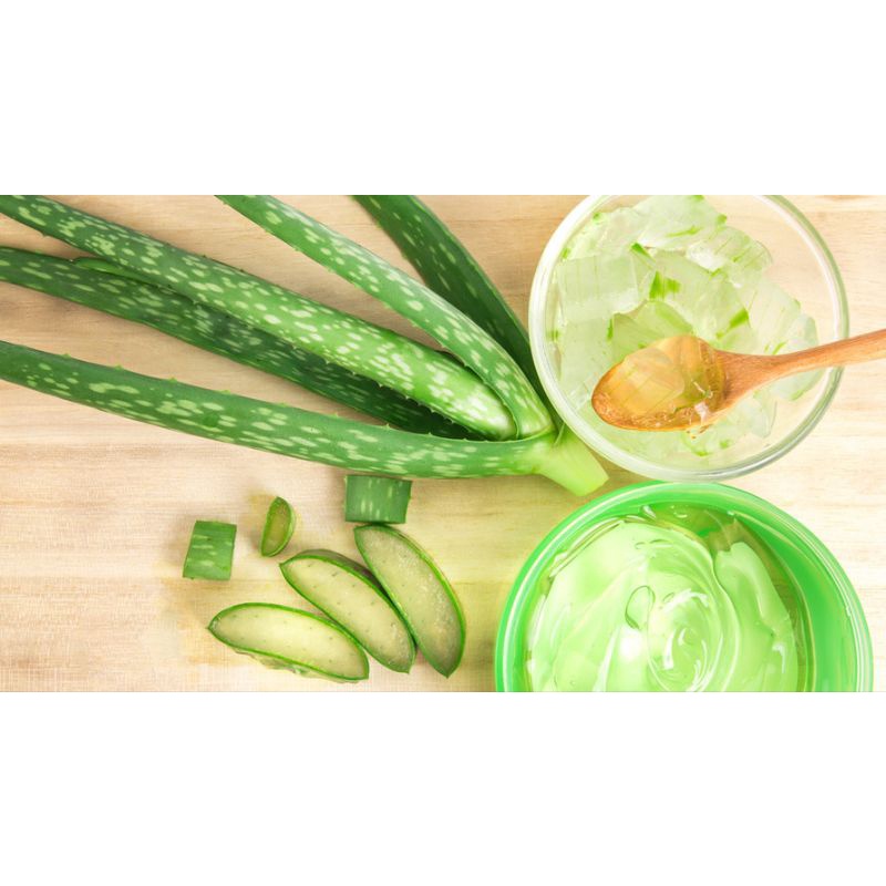 Images Aloe Vera Gel Pelembab Wajah / Masker Wajah Glowing / Pelembab Kulit / Gel Menghaluskan Kulit / Gel Lidah Buaya / Aloe Vera Gel Muka / Masker Lidah Buaya Gel Rambut / Masker Aloe Vera Murah / Masker Anti Penuaan Dini / Gel Mencegah Iritasi Kulit