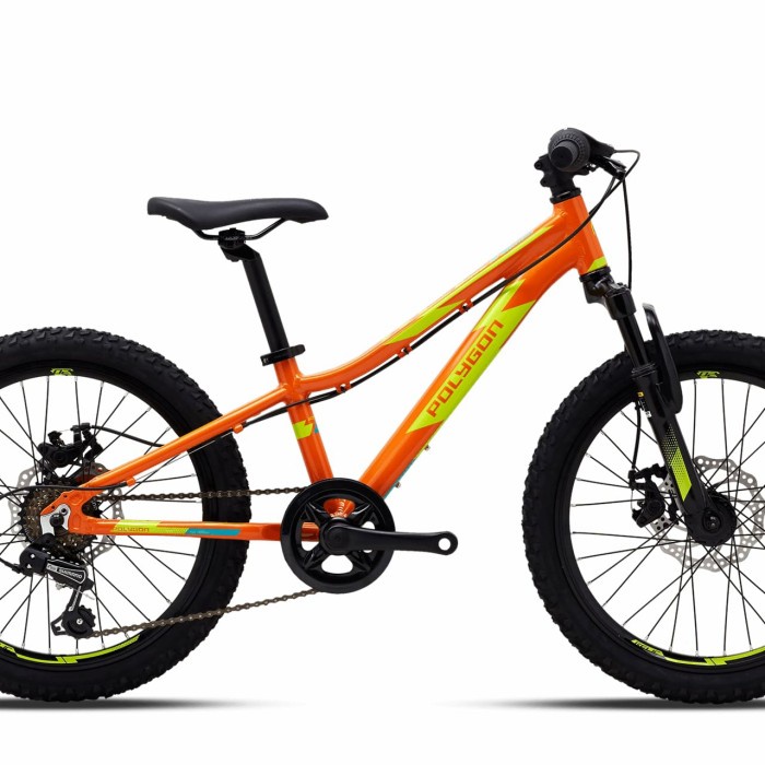 Sepeda Gunung Anak Polygon MTB 20 Relic