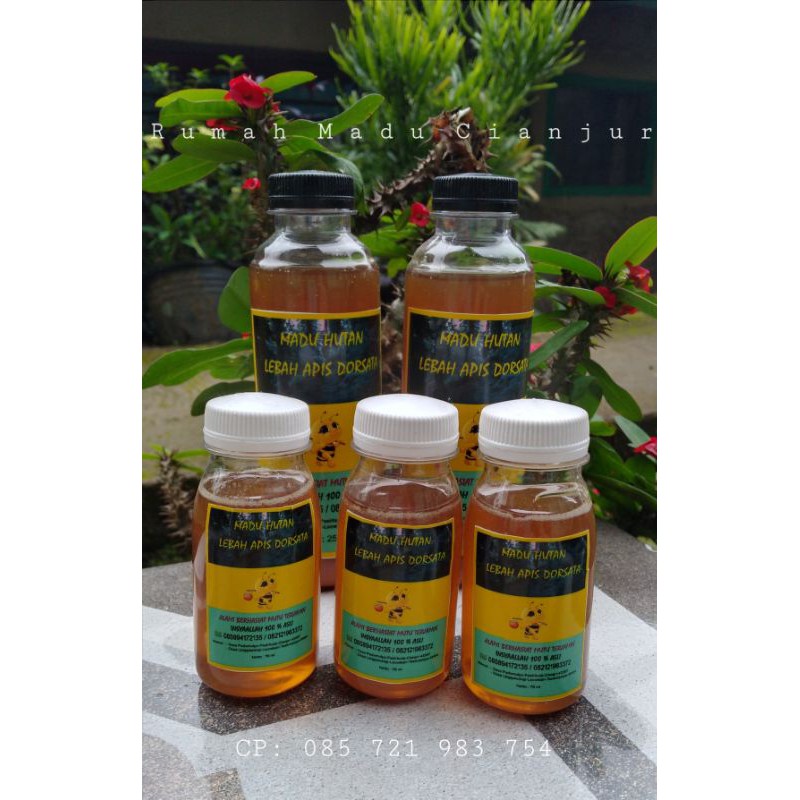 

madu asli