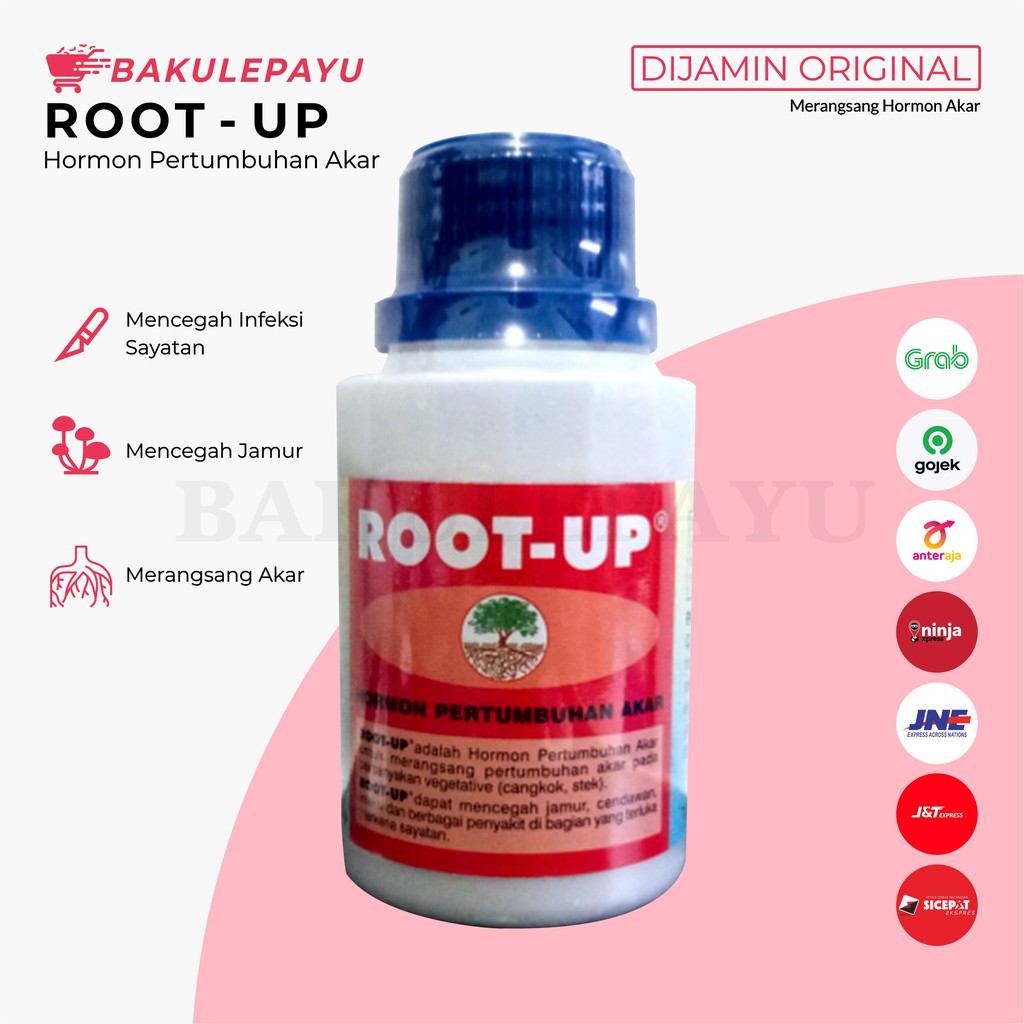 HORMON PERANGSANG AKAR / ROOT - UP / ROOT UP / PEMACU AKAR/ OBAT AKAR - 100ML