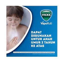 Vicks Vaporub 25 gr || 50 gr  Balsem Pereda Flu ORIGINAL-BPOM