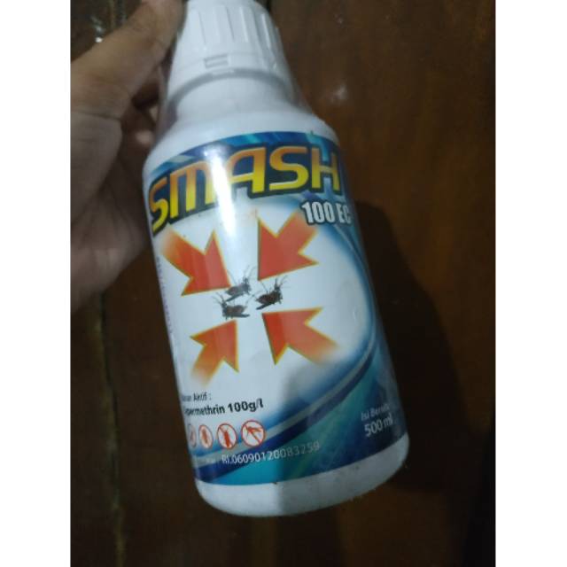 Obat Foging smash 100 ec 500 ml