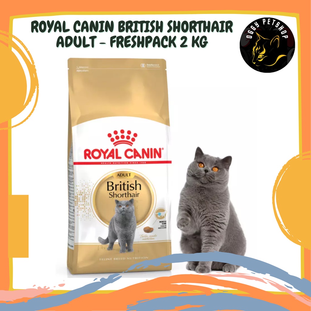 Makanan Kucing ROYAL CANIN British Shorthair ADULT 2 Kg | RC BRITISH SHORTHAIR 2Kg