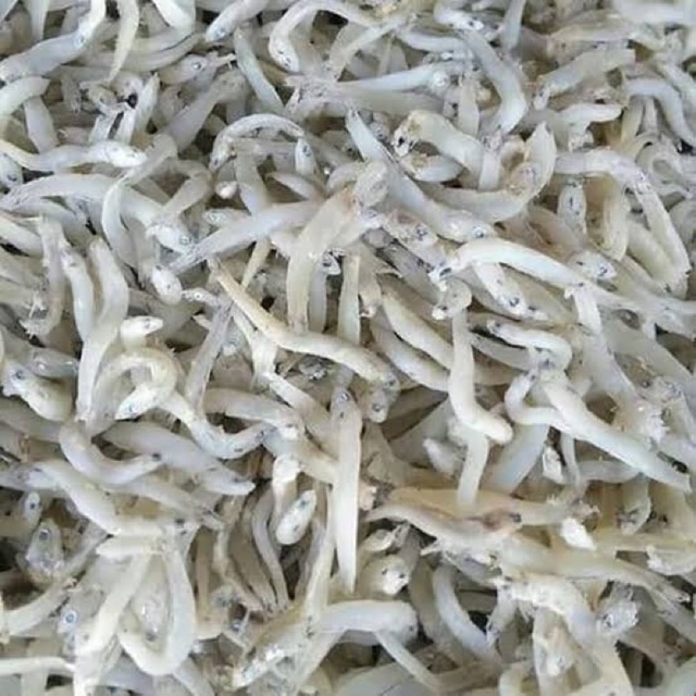 

TERI MEDAN / TERI NASI 100 gr