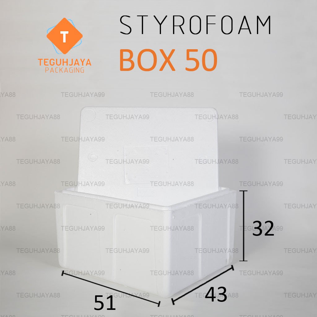 Styrofoam Gabus Box Sterofoam Box AG 50 Kotak Gabus Frozen Food Ikan Buah 51x43x32 Cool Box