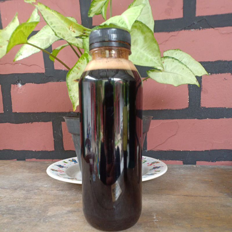 

Madu Kembang Hutan Lereng Selatan Argopuro 500ml