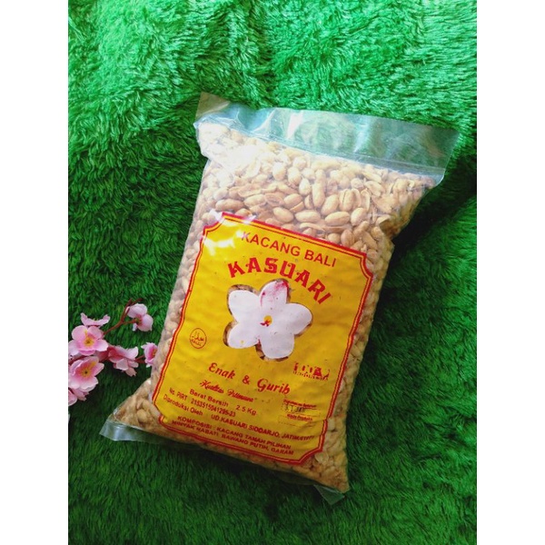 (FreeOngkir) kacang bali kasuari Halal Terpopuler
