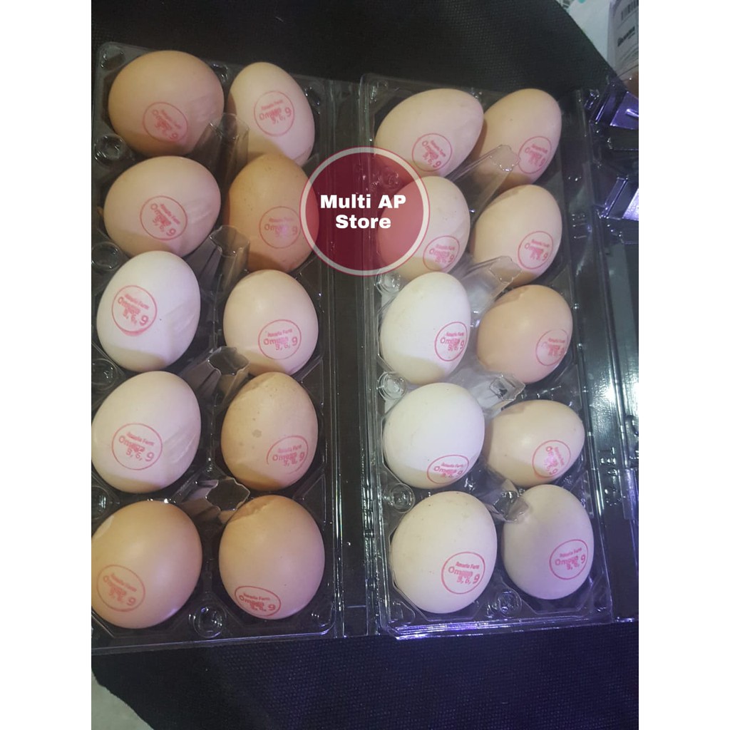 

Telur/Telor Omega 3 6 9 Ayam Arab/Kampung/isi 1pack @10pcs
