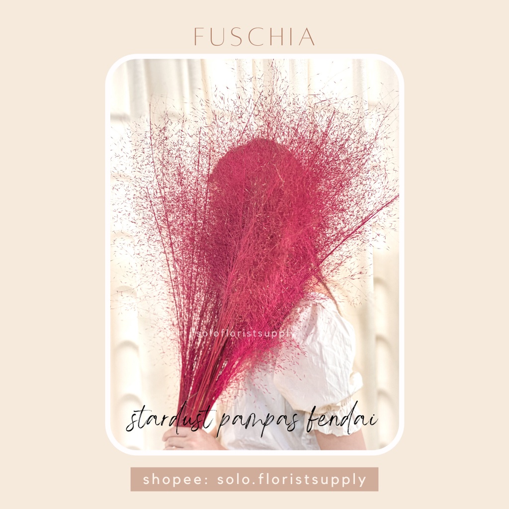 STARDUST PAMPAS FENDAI Home Decor Rayung Kering Rayung Panjang Rayung Natural Rayung Rustic Dekorasi