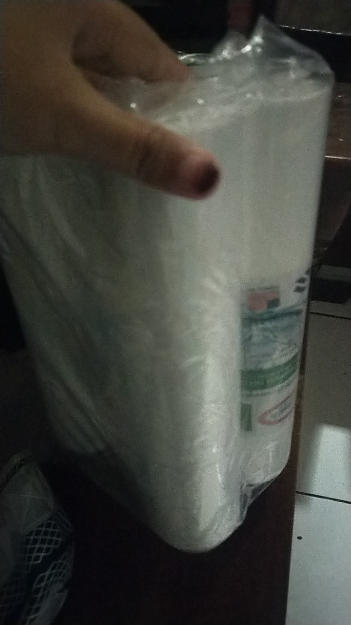 Cartridge Filter Air Spons Sedimen